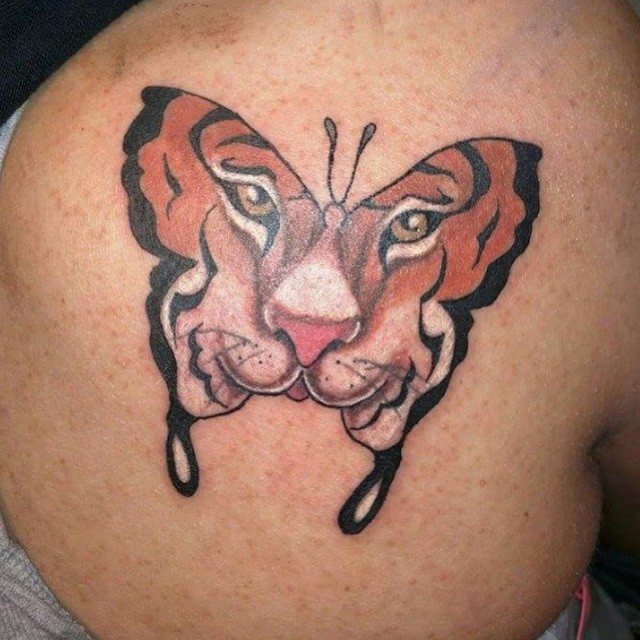 Color tiger and butterfly tattoo